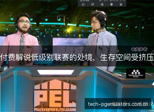 付费解说低级别联赛的处境，生存空间受挤压